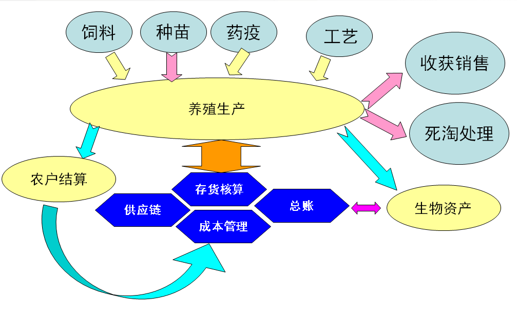 13686824509259.png